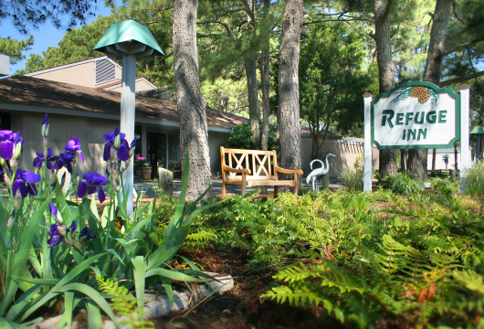 保护区酒店-官方