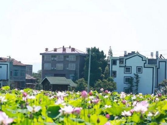 仙居俞大哥的农家庭院