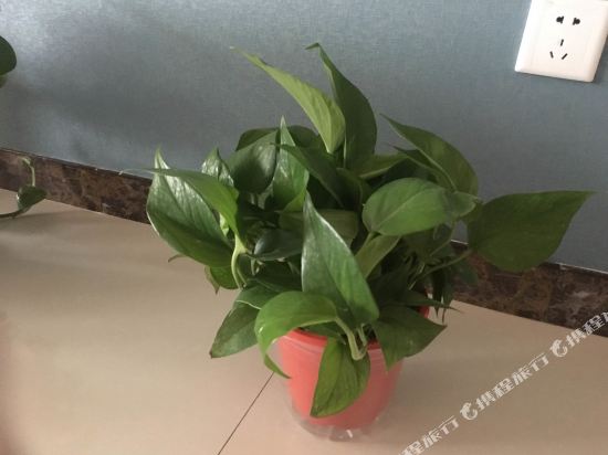 延安旅途中的家公寓