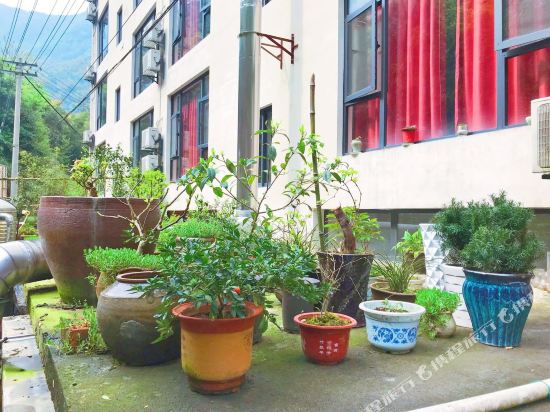 桐庐水之林客栈