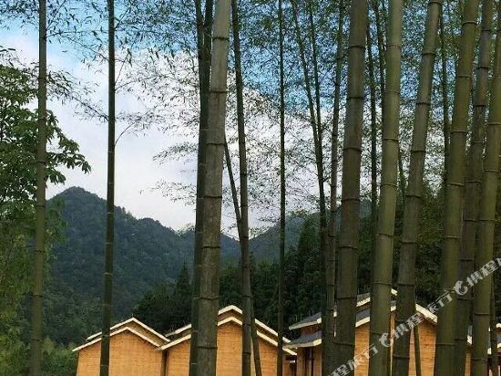 景宁白云尖度假村住宿