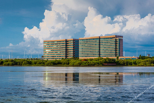 坦帕酒店住宿-坦帕湾君悦豪华酒店