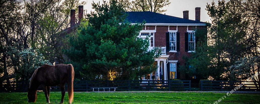 Mitchellsburg酒店住宿-Maple Hill Manor Bed & Breakfast