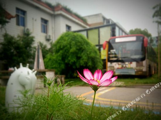 景德镇Hilife青年旅舍