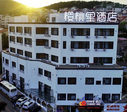 樱桃里酒店(八一路分店)主图