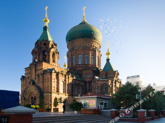 哈尔滨宝宇温莎国际公寓