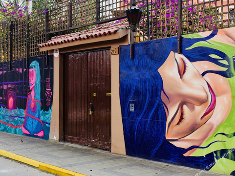 Chorrillos酒店住宿-D'Osma Bed & Breakfast