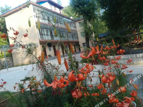 白云山金水湾农家乐