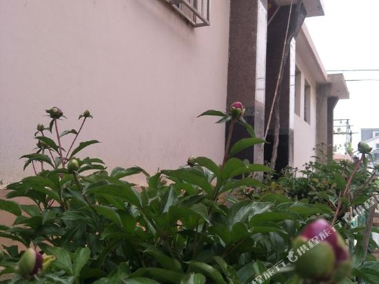 奇佳临海民宿(蓬莱小泰山西路店)