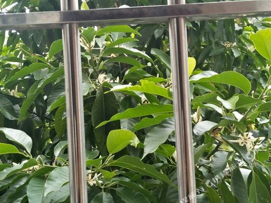 自贡G.Y.Z公寓(2号店)