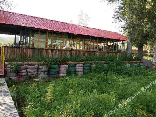 富蕴花海牧游青年旅舍