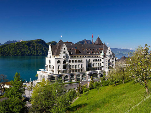 卢塞恩州酒店住宿-维特瑙公园酒店