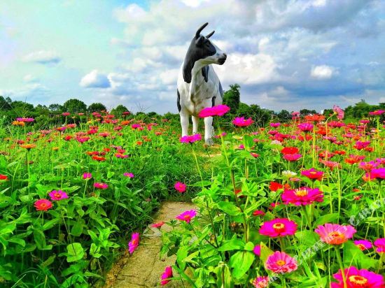 江门乐享自然之家客栈