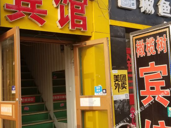 青岛橄榄树宾馆