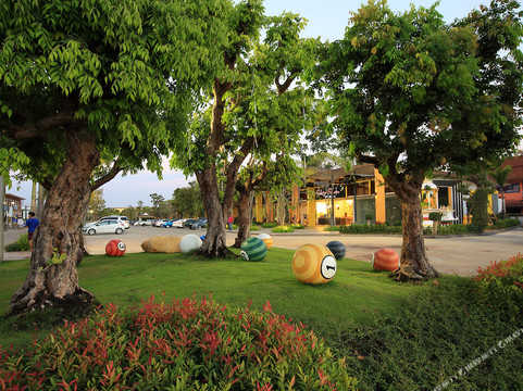 The Room At Maesai主图