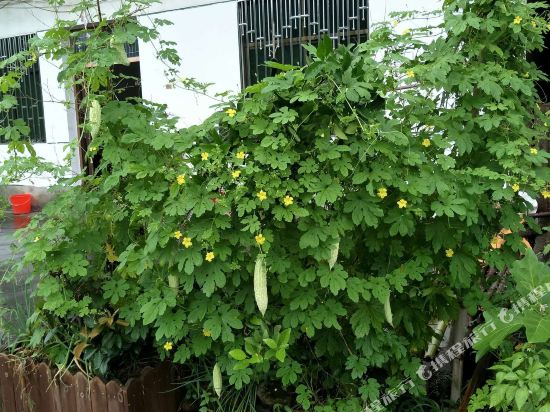 婺源篁岭山里老家农家乐