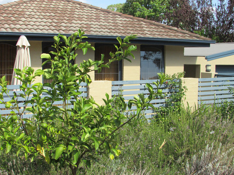 Ngunnawal酒店住宿-博米树酒店