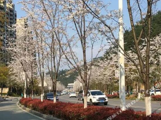 千岛湖精致装饰高层湖景公寓