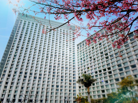 抚仙湖臻嫣芈山酒店