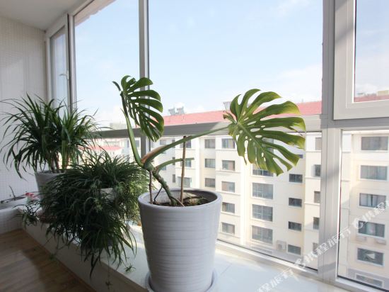 威海小松驿站(2号店)