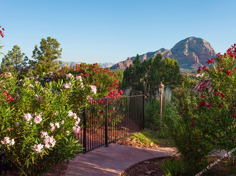 夕阳住宿加早餐旅馆主图