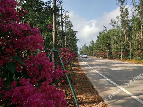 韩丽洪公寓(琼海千舟湾店)