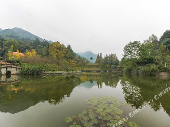 成都聚鑫美墅度假别墅(青正街分店)