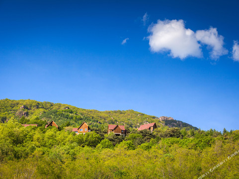 森林乡居度假酒店主图