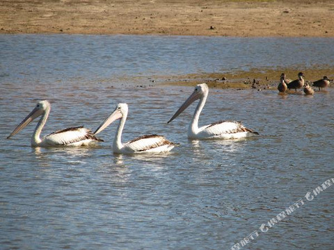 Mahogany Creek酒店住宿-Lakeview Lodge