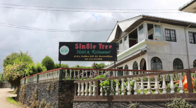 努沃勒埃利耶独树酒店-官方