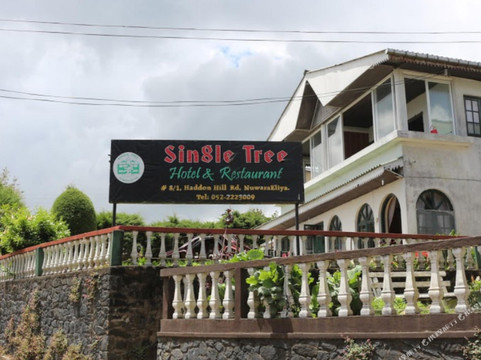 努沃勒埃利耶独树酒店主图