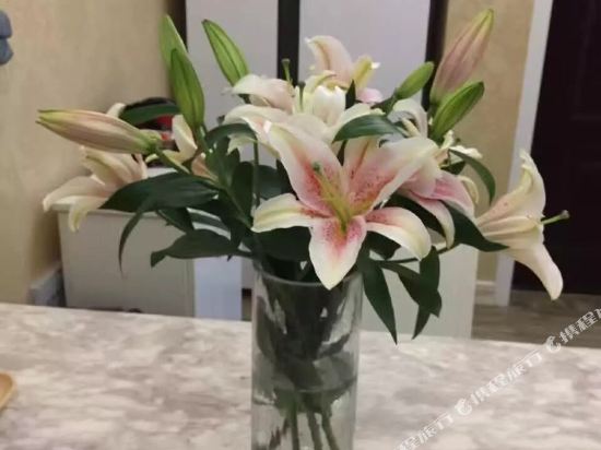 黄山叶子的小窝公寓