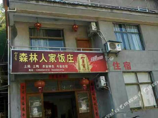 寨下大峡谷森林人家