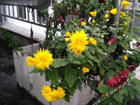 石台鹏鹏农家乐