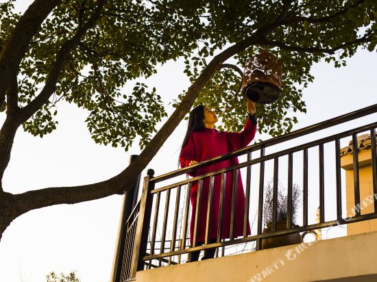 温岭香樟石舍客栈