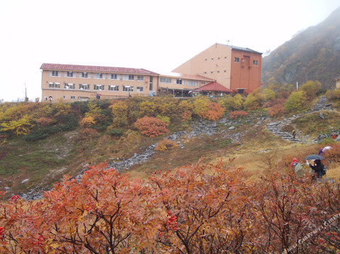 驹根市酒店住宿-Hotel Senjoshiki