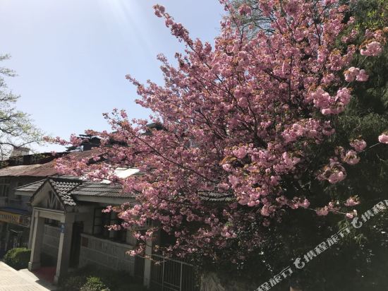 庐山云婷民宿