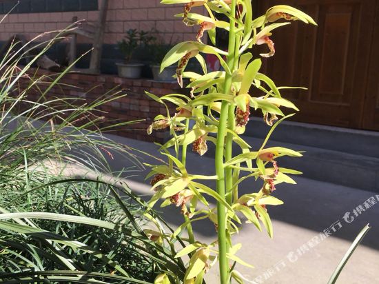 千岛湖榧香民宿