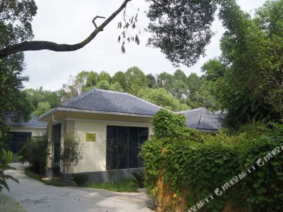 靖安九岭森林别墅