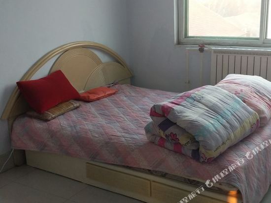 乐悠·度假公寓(平原南关北街村分店)