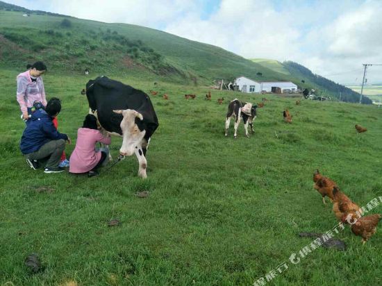 门源照壁山农家院