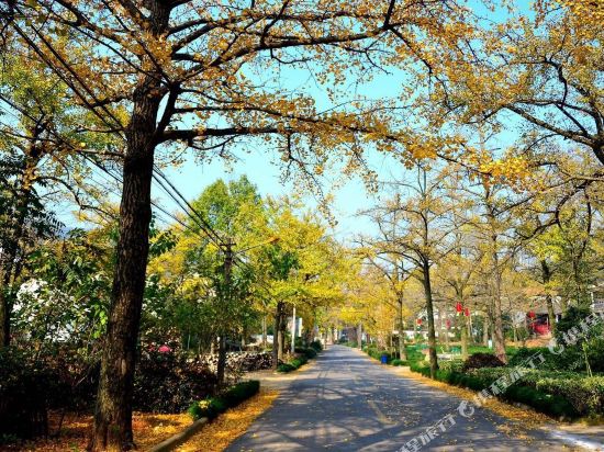 长兴茶岭阁民宿