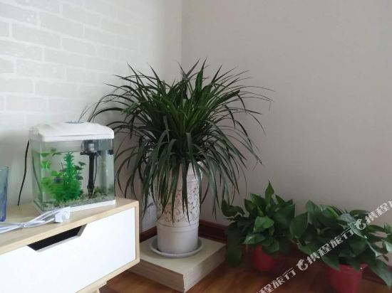 延安朴宿微澜民宿