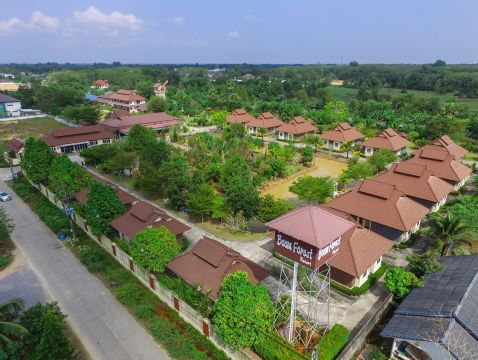 葱郁森林酒店-官方