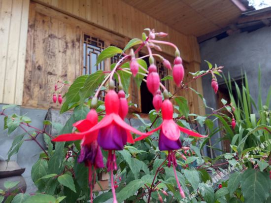 峨眉山清雅山庄