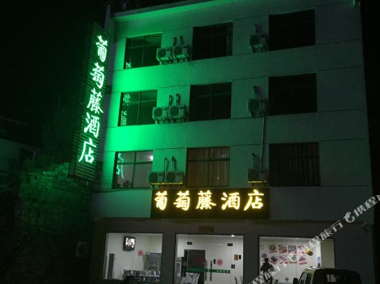 黄山葡萄藤酒店