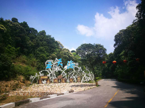 云天海原始森林度假村-官方