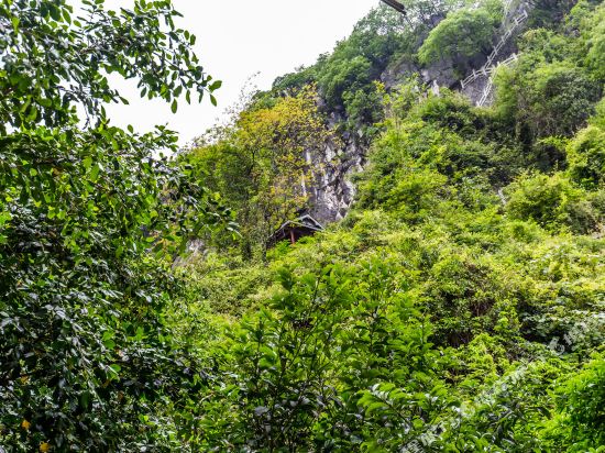 桂林绿涛湾家庭式公寓