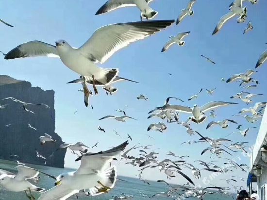 长岛海梦圆自助公寓