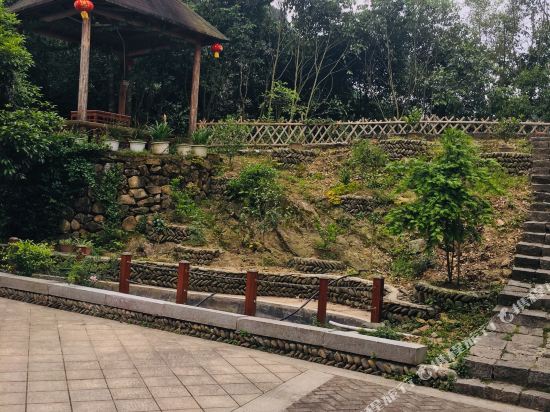 淳安葛岭农家乐